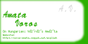 amata voros business card